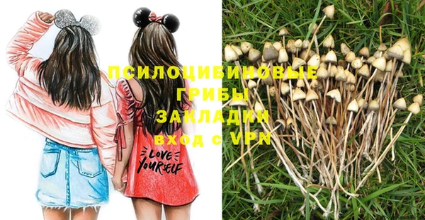 не бодяженный Красноперекопск